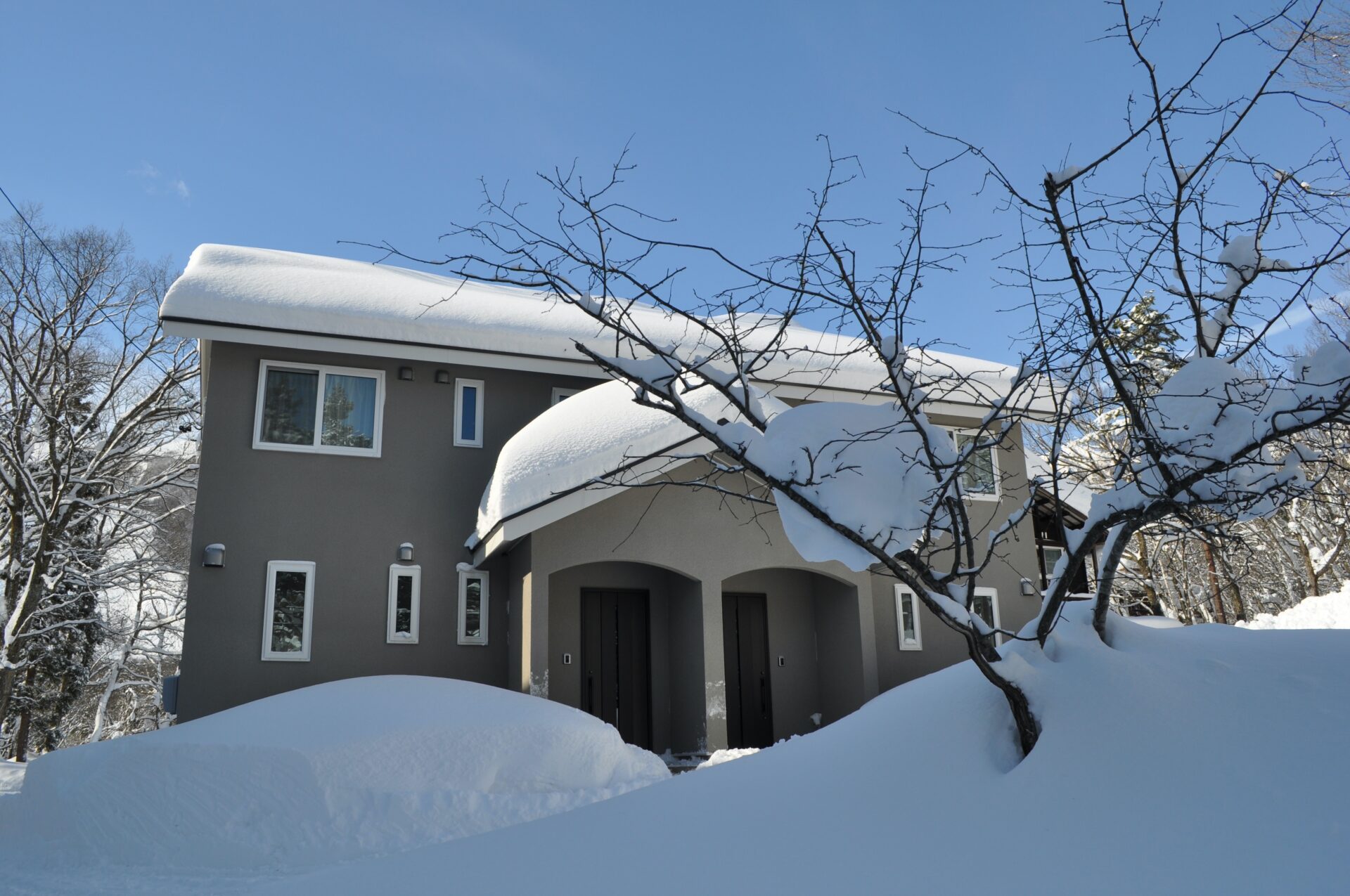 Cat’s Villa Hakuba 1&2